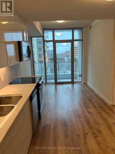 60 Frederick Street, Kitchener, ON - Indoor Photo Showing Kitchen With Double Sink