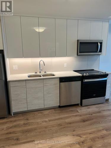 60 Frederick Street, Kitchener, ON - Indoor Photo Showing Kitchen With Double Sink