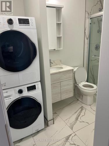 60 Frederick Street, Kitchener, ON - Indoor Photo Showing Laundry Room