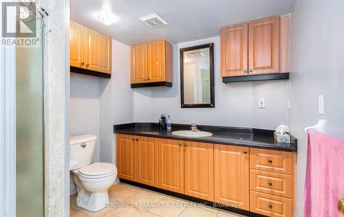 51 Dragon Tree Crescent, Brampton, ON - Indoor Photo Showing Bathroom