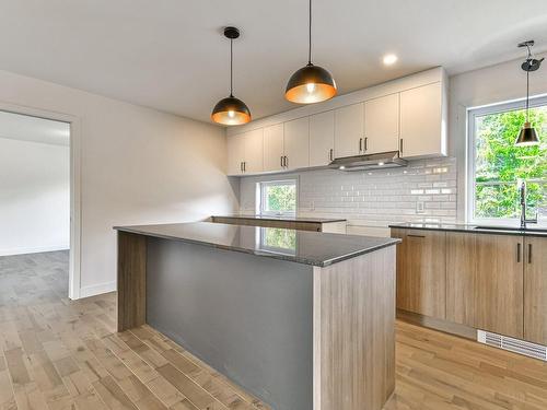 Cuisine - 102-98 Ch. Michel-Ange, Lantier, QC - Indoor Photo Showing Kitchen