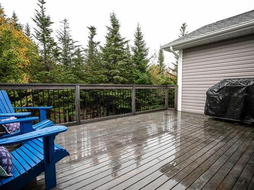 35 Saltwatters Lane, Herring Cove, NS 