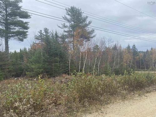 Lot 20 Noonan Lake Lane, Simms Settlement, NS 