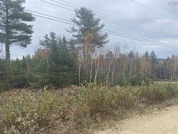 Lot 20 Noonan Lake Lane  Simms Settlement, NS B0J 1T0