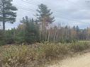 Lot 20 Noonan Lake Lane, Simms Settlement, NS 