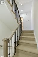 Stairs featuring carpet flooring - 