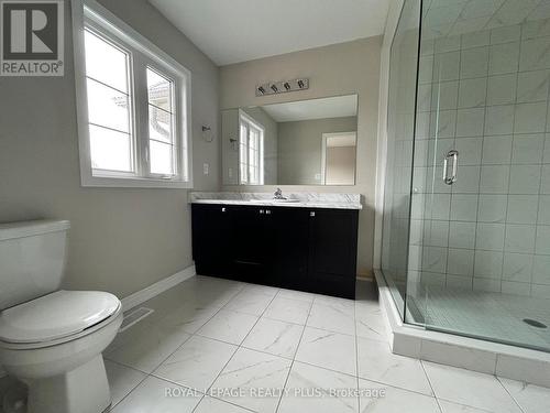 10 - 30 Mia Drive, Hamilton, ON - Indoor Photo Showing Bathroom