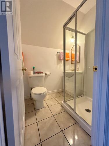 24-36 Tamarack Drive, Cormack, NL - Indoor Photo Showing Bathroom