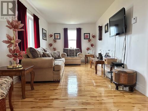 24-36 Tamarack Drive, Cormack, NL - Indoor Photo Showing Living Room