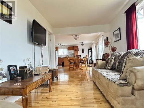 24-36 Tamarack Drive, Cormack, NL - Indoor Photo Showing Living Room