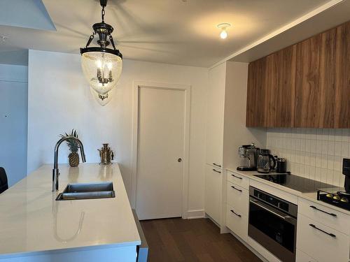 Kitchen - 1011-7227 Boul. Newman, Montréal (Lasalle), QC - Indoor Photo Showing Kitchen With Double Sink