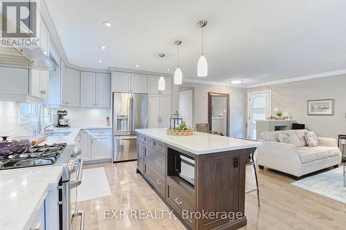 28 Ramsey Crescent, Hamilton, ON - Indoor Photo Showing Kitchen With Upgraded Kitchen