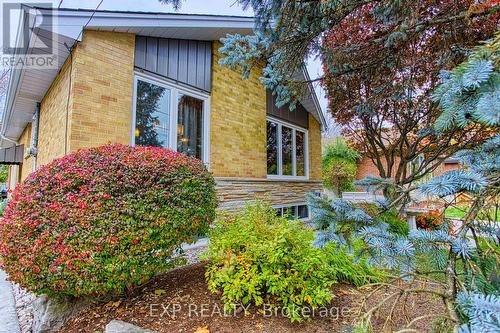 28 Ramsey Crescent, Hamilton, ON - Outdoor