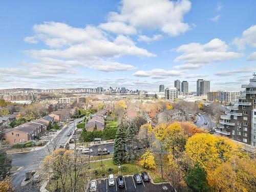 View - 1006-50 Rue Berlioz, Montréal (Verdun/Île-Des-Soeurs), QC - Outdoor With View