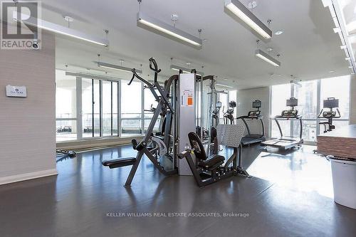 1003 - 59 Annie Craig Drive, Toronto, ON - Indoor Photo Showing Gym Room