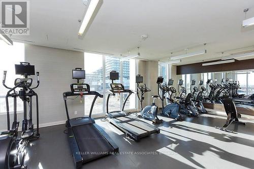 1003 - 59 Annie Craig Drive, Toronto, ON - Indoor Photo Showing Gym Room