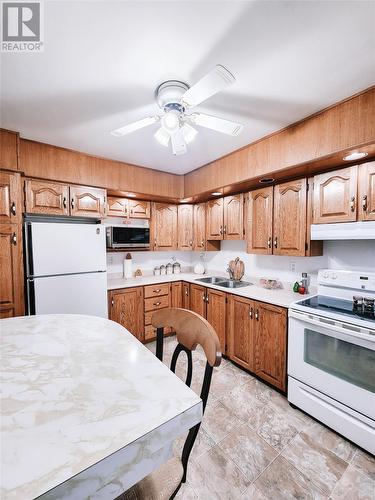 12 Richmond Street, Grand Falls Windsor, NL - Indoor Photo Showing Kitchen With Double Sink