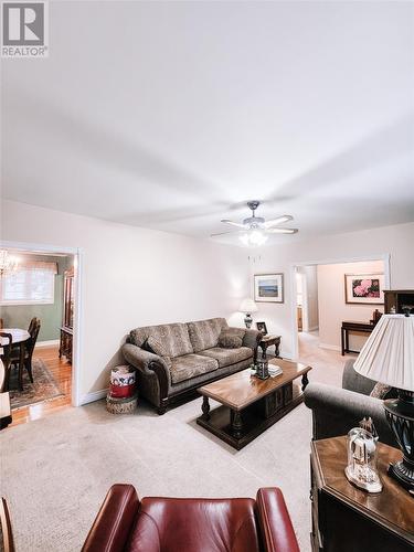 12 Richmond Street, Grand Falls Windsor, NL - Indoor Photo Showing Living Room