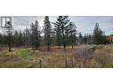 20 Campbell Road, Cherryville, BC 