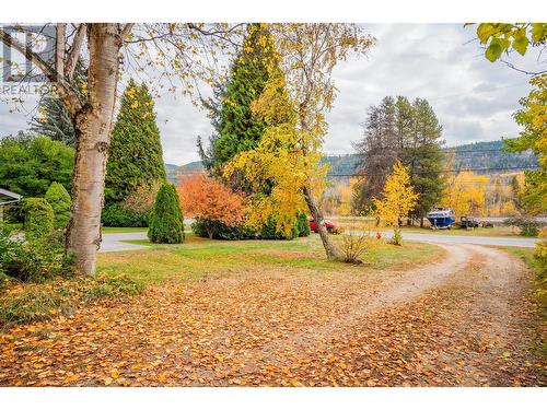 506 201St Avenue, Castlegar, BC - Outdoor With View