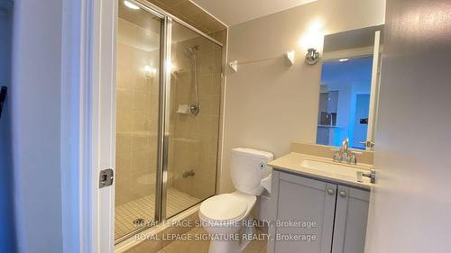 1850-25 Viking Lane, Toronto, ON - Indoor Photo Showing Bathroom