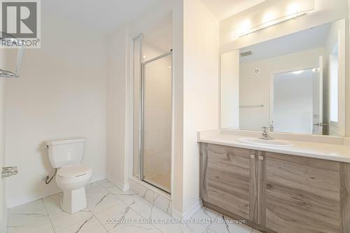 227 Gillespie Drive, Brantford, ON - Indoor Photo Showing Bathroom