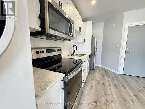 13 - 268 Talbot Street, St. Thomas, ON - Indoor Photo Showing Kitchen With Double Sink With Upgraded Kitchen