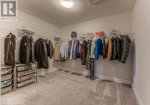 Walk in closet featuring carpet flooring - 14 Greyhawk Street, Kitchener, ON - Indoor With Storage