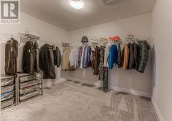 Walk in closet featuring carpet flooring - 