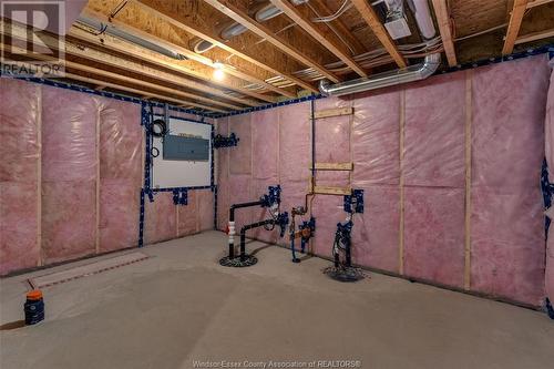 59 Belleview, Kingsville, ON - Indoor Photo Showing Basement