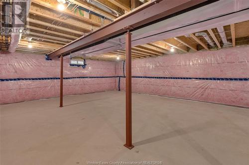 59 Belleview, Kingsville, ON - Indoor Photo Showing Basement