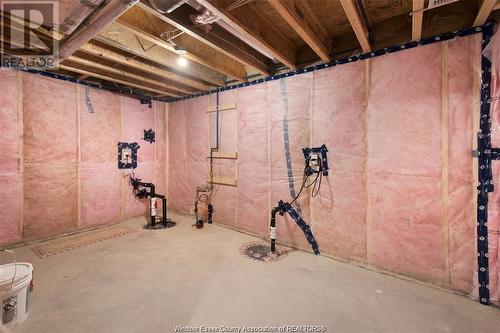 51 Belleview, Kingsville, ON - Indoor Photo Showing Basement