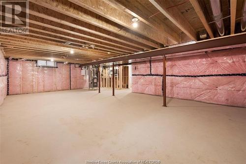 51 Belleview, Kingsville, ON - Indoor Photo Showing Basement