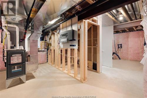 51 Belleview, Kingsville, ON - Indoor Photo Showing Basement