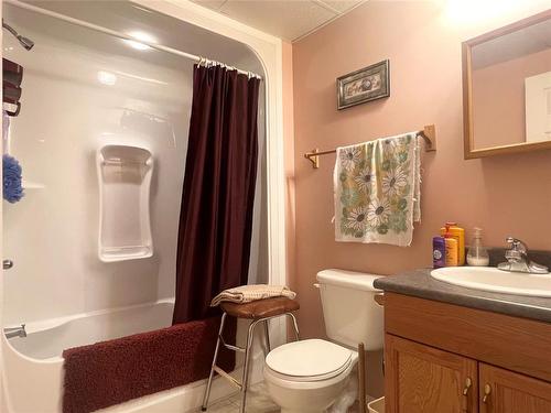 54 Poplar Street, Sidney, MB - Indoor Photo Showing Bathroom