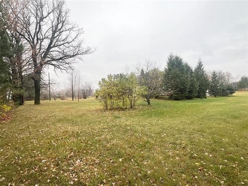 54 Poplar Street, Sidney, MB - Outdoor With View