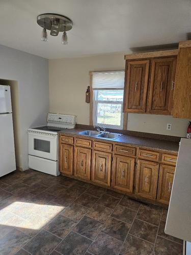 865 Huron Avenue, Thunder Bay, ON - Indoor Photo Showing Kitchen With Double Sink