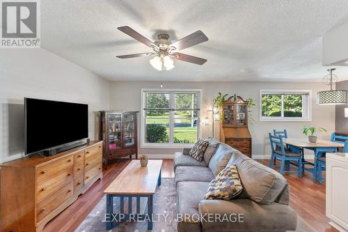 109 Virginia Street, Kingston, ON - Indoor Photo Showing Living Room