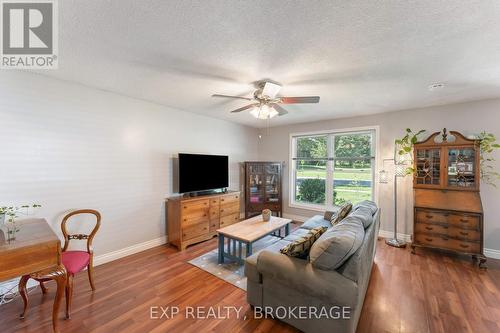 109 Virginia Street, Kingston, ON - Indoor Photo Showing Living Room