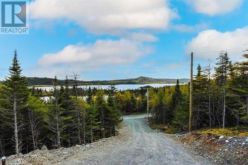 240 Middle Gull Pond Road, Middle Gull Pond, NL - Outdoor With View