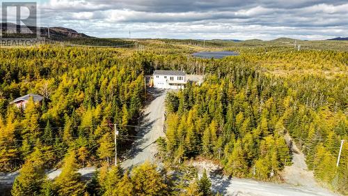 240 Middle Gull Pond Road, Middle Gull Pond, NL - Outdoor With View