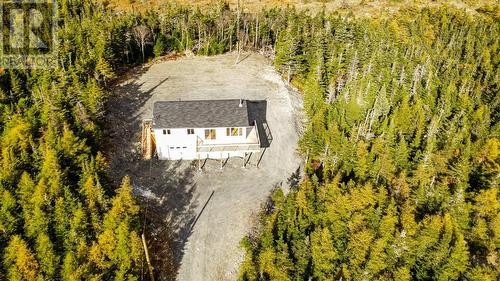 240 Middle Gull Pond Road, Middle Gull Pond, NL - Outdoor With View