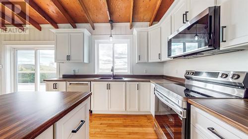 240 Middle Gull Pond Road, Middle Gull Pond, NL - Indoor Photo Showing Kitchen With Double Sink