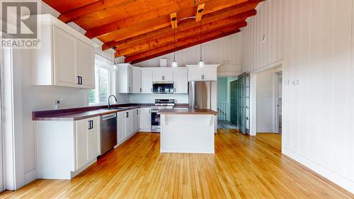 240 Middle Gull Pond Road, Middle Gull Pond, NL - Indoor Photo Showing Kitchen