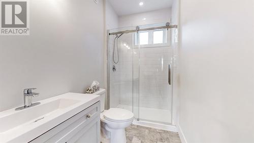 240 Middle Gull Pond Road, Middle Gull Pond, NL - Indoor Photo Showing Bathroom