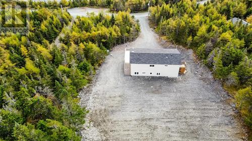 240 Middle Gull Pond Road, Middle Gull Pond, NL - Outdoor With View