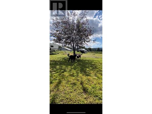 5775 Beatrice Street Lot# Lot B, Grand Forks, BC - 