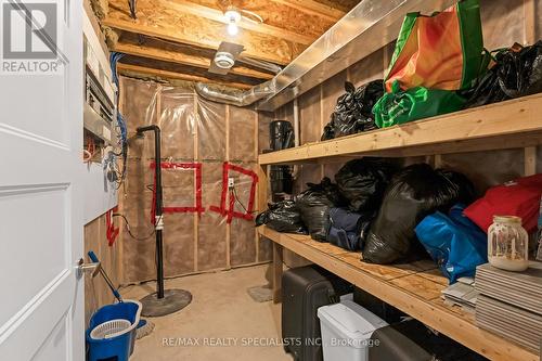 248 Summer Street, Windsor, ON - Indoor Photo Showing Basement