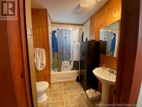 17 Evangeline Street, Saint-Quentin, NB - Indoor Photo Showing Bathroom