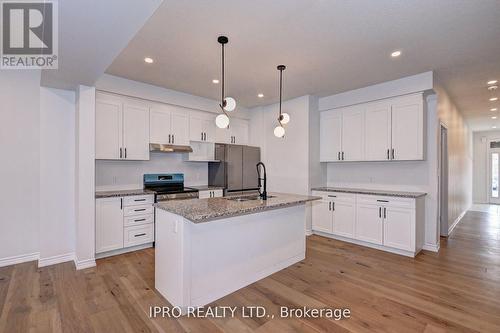 54 Pondcliffe Drive, Kitchener, ON - Indoor Photo Showing Kitchen With Upgraded Kitchen